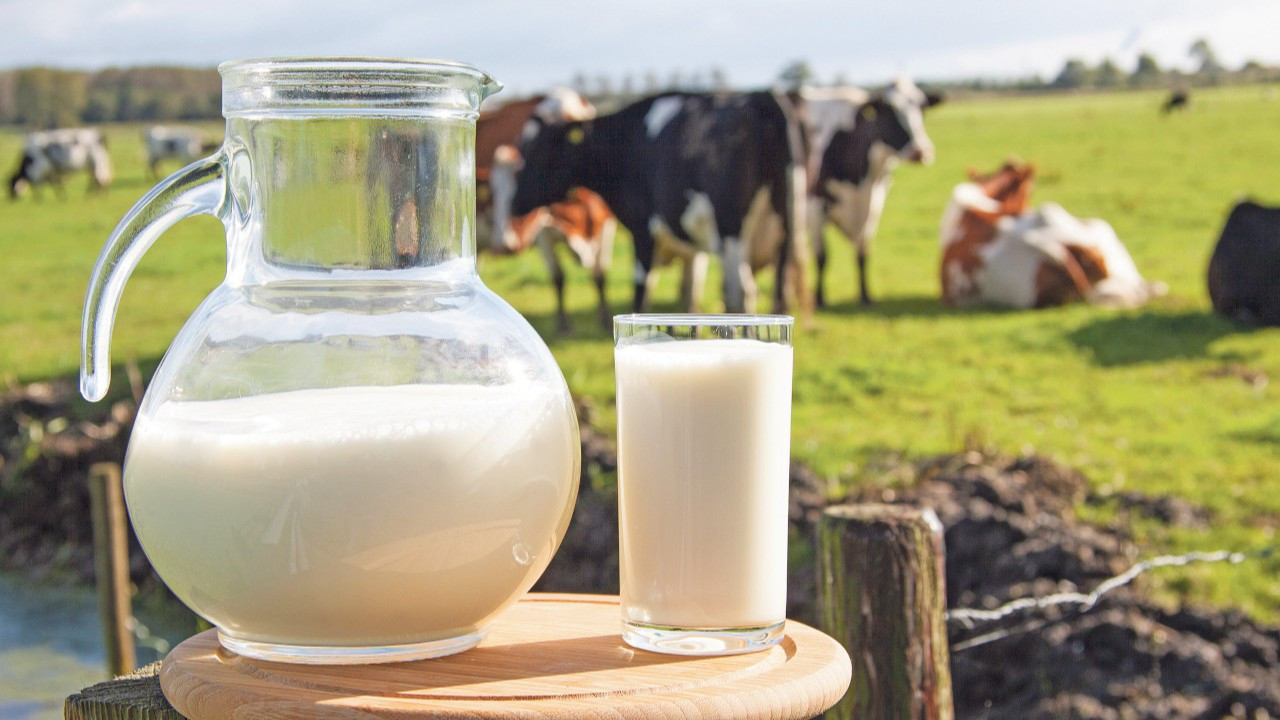 Süt üretiminde dikkat çeken artış! TÜİK açıkladı...