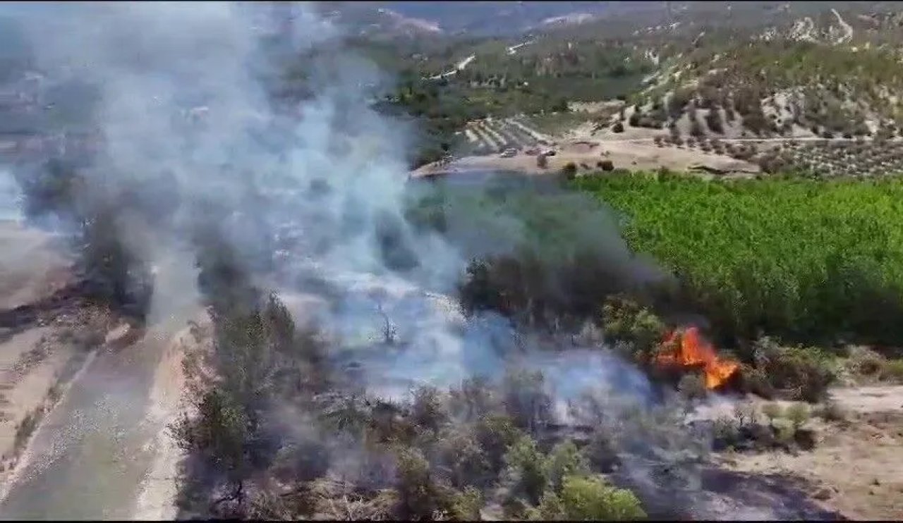 Orman yangını hızlı müdahaleyle kontrol altına alınmaya çalışılıyor!